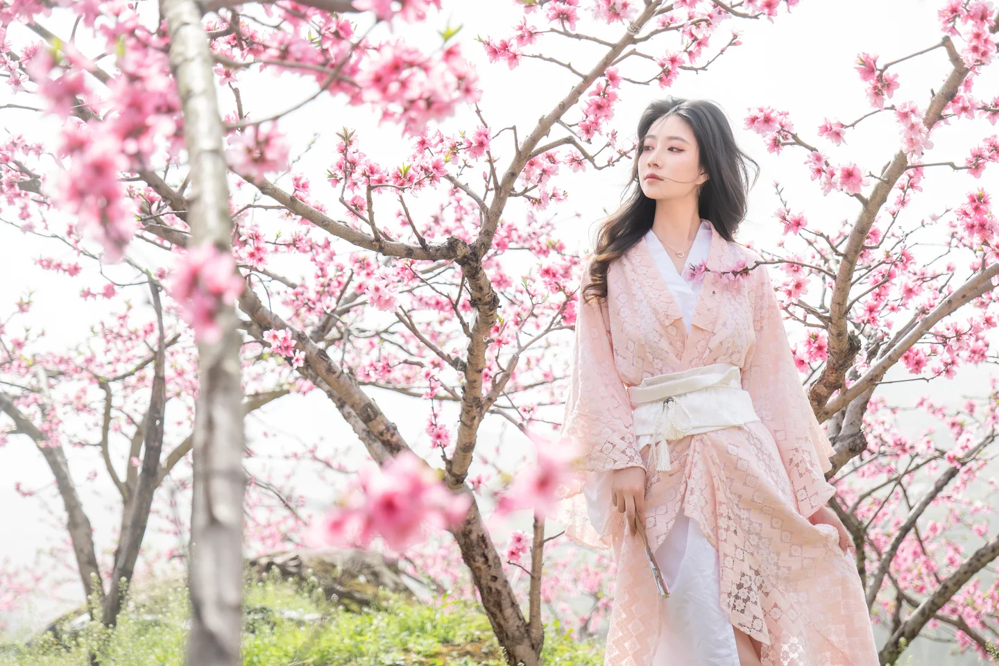 年年 - 漫花 [86P-595MB] tg@simisebaisi 【丝足阁】019.webp